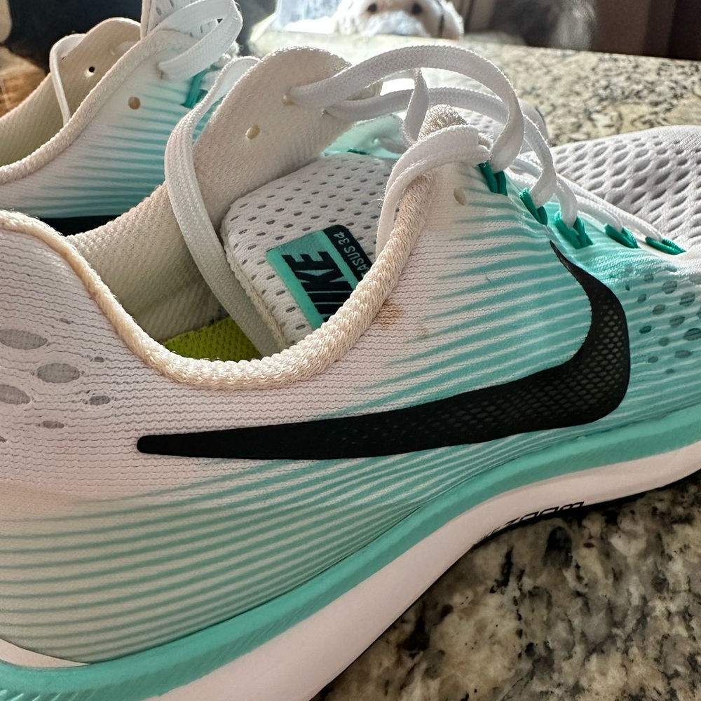 Nike air zoom Pegasus